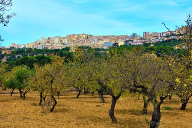 İtalya 'nın Sicilya Agrigento Tapınak ve Panorama Vadisi
