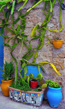 Sicilya 'nın Syracuse iline bağlı Marzamemi köyü.