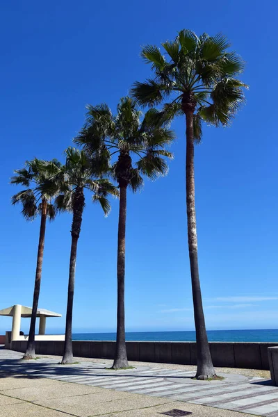 Paseo Marítimo Albissola Superiore Italia — Foto de Stock