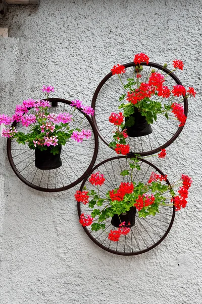 Fiori Come Arredo Urbano Nel Centro Storico Chiusa Alto Adige — Foto Stock