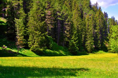 Güney Tyrol İtalya Val di Funes Panoraması