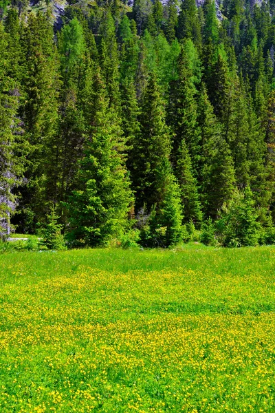 Panorama Údolí Funes Jižního Tyrolska Itálie — Stock fotografie