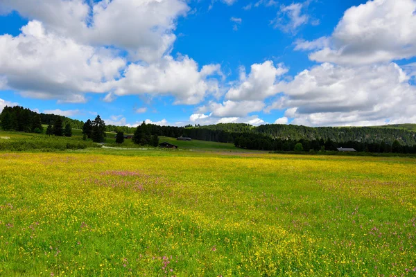 Alpe Villandro Second Largest Mountain Pasture Europe Sud Tyrol Italy — Stock fotografie