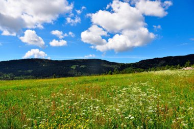 alpe di villandro It is the second largest mountain pasture in Europe sud tyrol italy