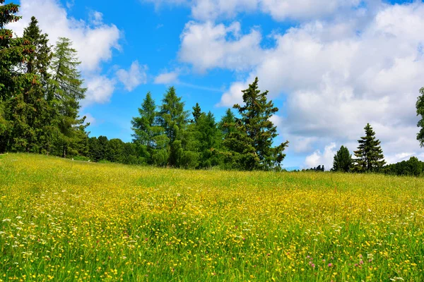 Alpe Villandro Segundo Pasto Montaña Más Grande Europa Sud Tyrol — Foto de Stock