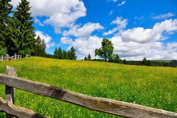 Alpe Villandro Second Largest Mountain Pasture Europe Sud Tyrol Italy — Stock fotografie