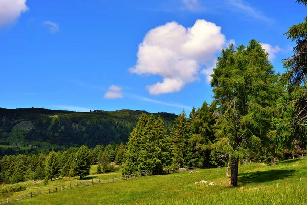 Alpe Villandro Second Largest Mountain Pasture Europe Sud Tyrol Italy — стоковое фото