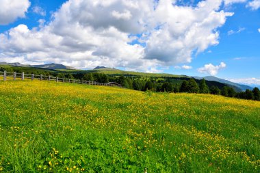 Alpe di villandro, İtalya 'nın Avrupa' daki en büyük ikinci otlağıdır.