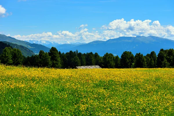 Alpe Villandro Segundo Pasto Montaña Más Grande Europa Tirol Italia — Foto de Stock