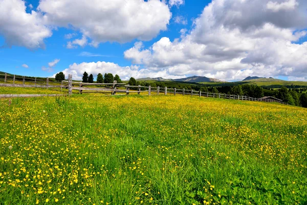 Alpe Villandro Segundo Pasto Montaña Más Grande Europa Tirol Italia — Foto de Stock