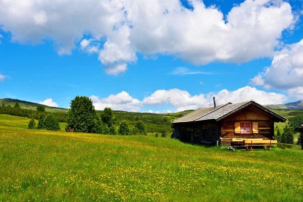 Alpe Villandro Второе Величине Горное Пастбище Европе Tyrol Italy — стоковое фото