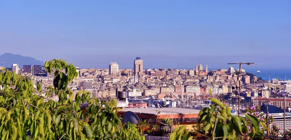 Городская Панорама Генуи — стоковое фото