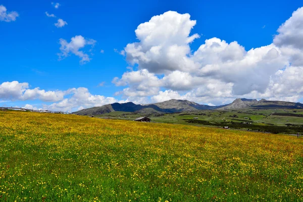 Alpe Villandro Segundo Pasto Montaña Más Grande Europa Tirol Del — Foto de Stock