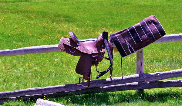 Sadel För Häst Alpe Villandro Sydtyrolen Italy — Stockfoto