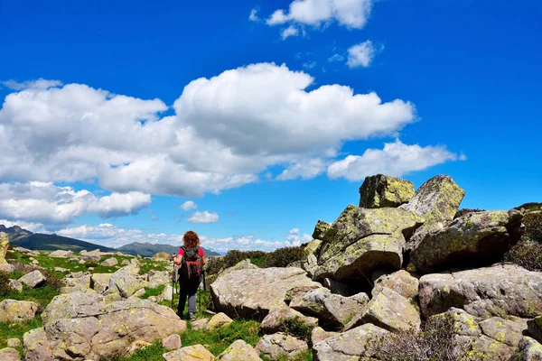 Alpe Villandro Est Deuxième Grand Pâturage Montagne Europe Tyrol Sud — Photo