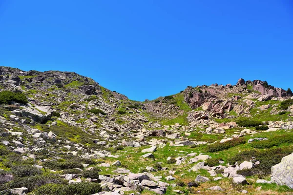 Alpe Villandro Secondo Pascolo Più Grande Europa Alto Adige Italia — Foto Stock