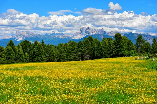 Alpe Villandro Segundo Pasto Montaña Más Grande Europa Tirol Del — Foto de Stock