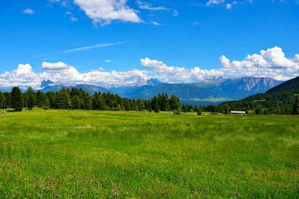 Alpe Villandro Jedná Druhou Největší Horskou Pastvinu Evropě Jižního Tyrolska — Stock fotografie