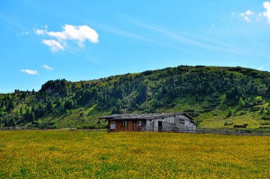 Alpe di Villandro, İtalya 'nın güneyindeki Avrupa' nın ikinci büyük dağ otlağıdır.