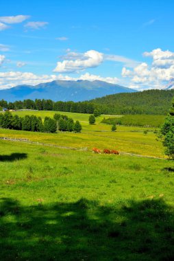 Alpe di Villandro, İtalya 'nın güneyindeki Avrupa' nın ikinci büyük dağ otlağıdır.