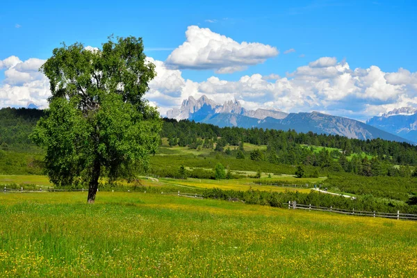 Alpe Villandro Jedná Druhou Největší Horskou Pastvinu Evropě Jižního Tyrolska — Stock fotografie