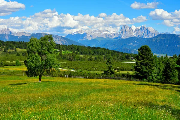 Alpe Villandro Második Legnagyobb Hegyi Legelő Európában Dél Tirol Olaszország — Stock Fotó