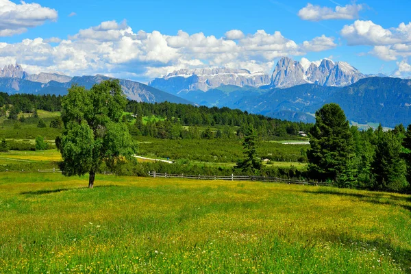 Alpe Villandro Друге Величиною Гірське Пасовище Європі — стокове фото