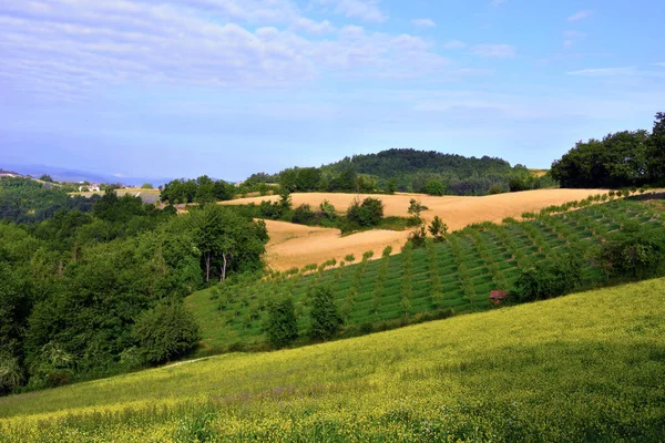 Panorama Van Langhe Koop San Giovanni Cuneo Italië — Stockfoto