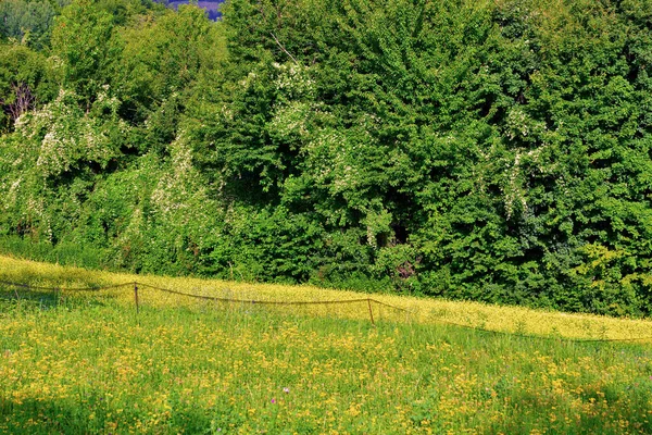 Panorama Langhe Vente San Giovanni Cuneo Italie — Photo