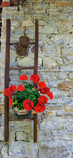 Vendita San Giovanni Cuneo Italia — Foto Stock