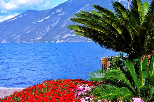 Panorama Limone Sul Garda Província Bréscia Itália — Fotografia de Stock