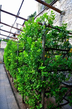 Limon Kalesi 'nin limon evi Konsül Garda Brescia İtalya