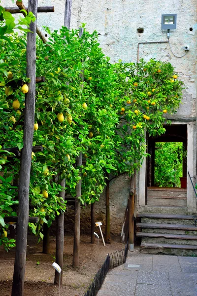 Casa Limón Del Castillo Limone Sul Garda Brescia Italia — Foto de Stock