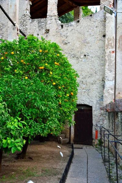 Citrónový Dům Hradu Limone Sul Garda Brescia Itálie — Stock fotografie