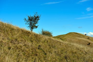 Antola Dağı zirvesi, Liguria, İtalya