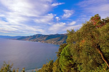 Liguria, İtalya 'da Camogli ve Punta Chiappa' nın panoramik manzarası