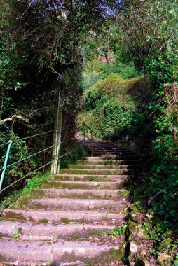 San Rocco di Camogli 'den Punta Chiappa, Liguria, İtalya' ya