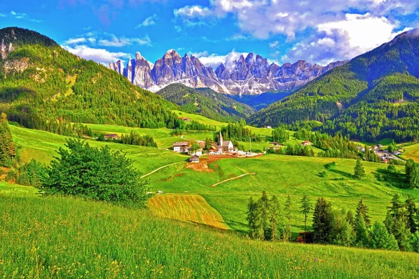 Ot Güney Tyrol İtalya 'nın manzarası