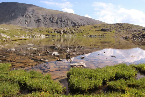 Paisagem com lago limpo e grama verde nas montanhas de Altai . — Fotografia de Stock