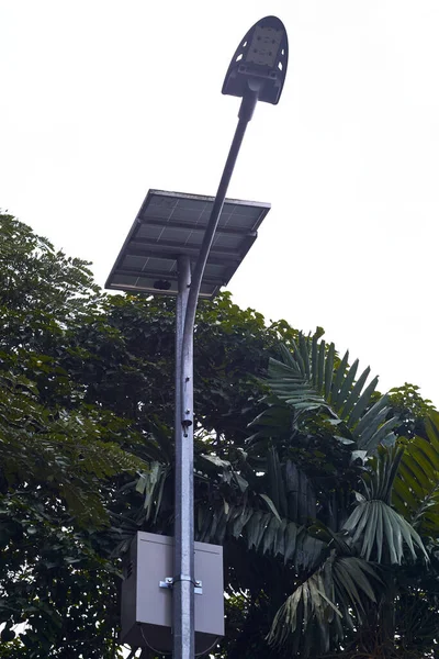 Looking up single of Solar Street Light on the park.