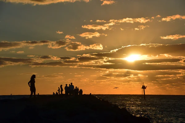 O gün batımında tek başına ayakta