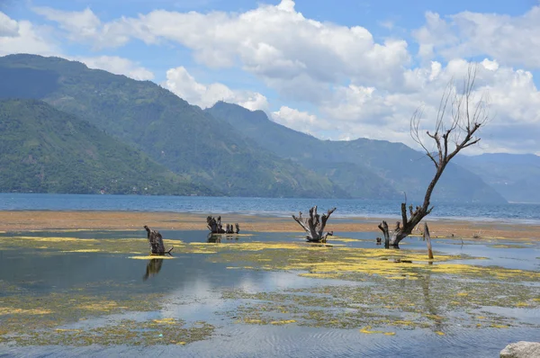 Lake Atitilan Guatemala yosun