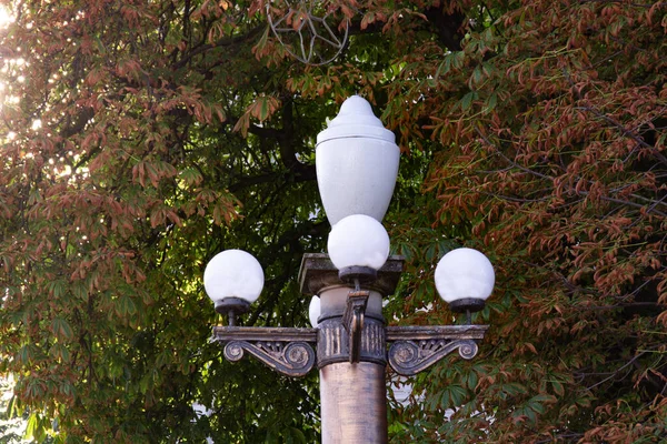 Street lamp on trees background — Stock Photo, Image