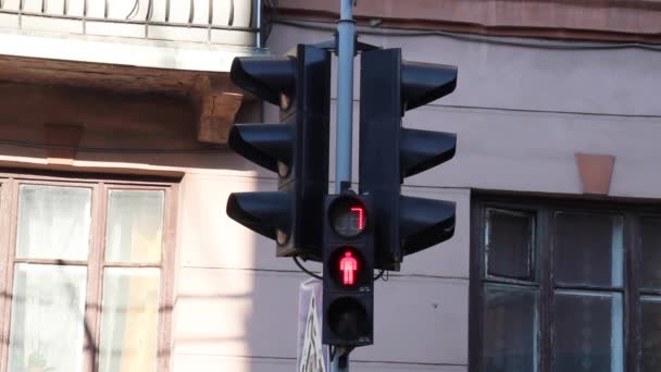Semáforo digital de pedestres em um cruzamento — Vídeo de Stock