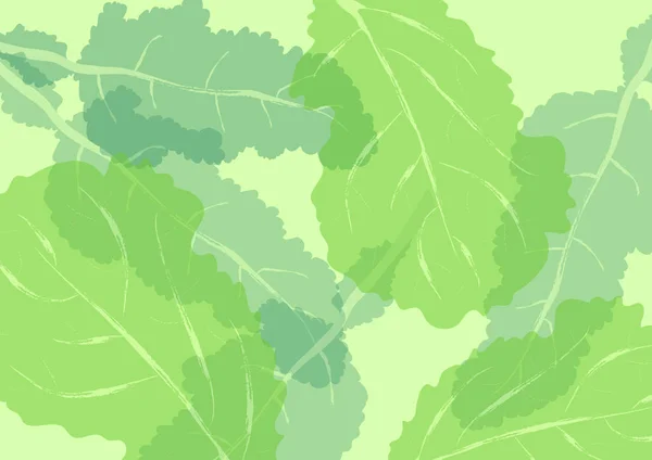 Modèle avec des feuilles de salade vertes et des herbes — Image vectorielle