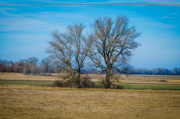 Lente-platteland — Stockfoto