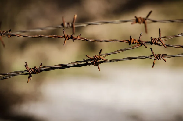 Taggad tråd stängsel — Stockfoto