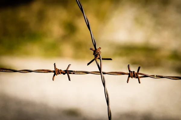 Gevaarlijke draad hek — Stockfoto