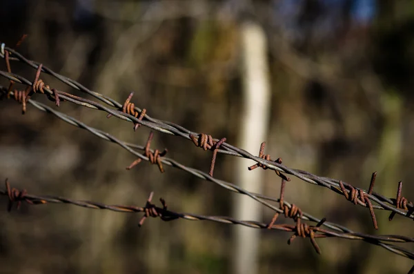 Nebezpečné drátěný plot — Stock fotografie