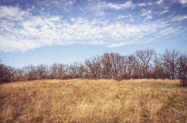 ağaçlar ve kırsal çayır